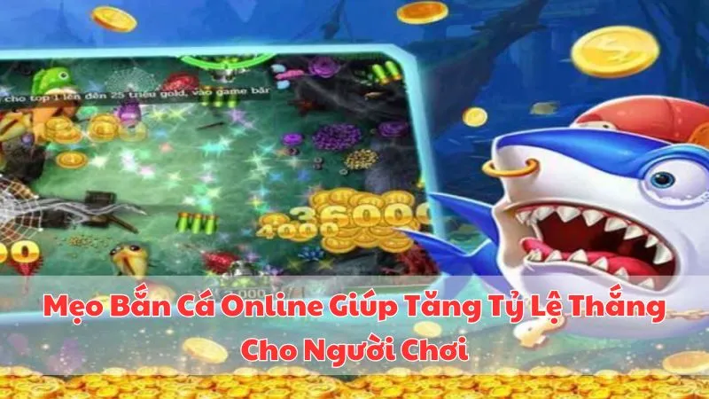meo-ban-ca-online